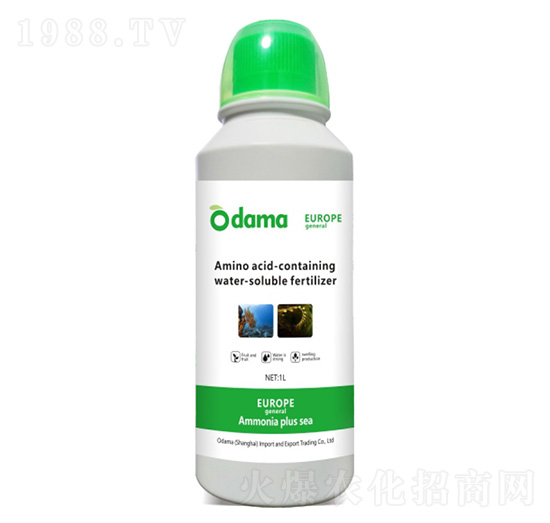 �W�V���Ӻ�-�W����