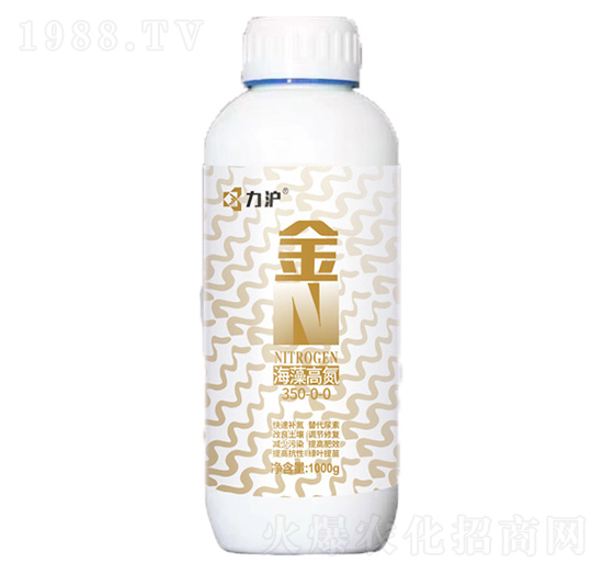 ����ߵ�-��N-��������