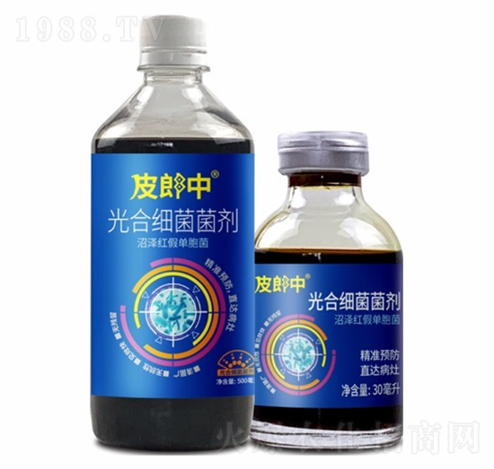 ��ϼ�(x��)������-Ƥ����-��������