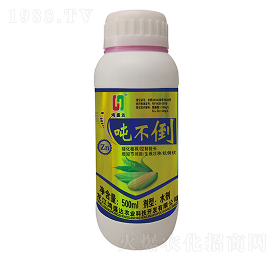 ������-��ʢ�_