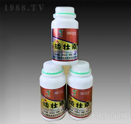 ������-��ʢ�_(d��)