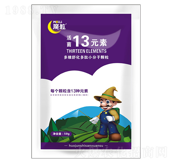 ���13Ԫ��-ħ������