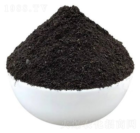 �l(f��)���u�S�ЙC��-�����ʘI(y��)