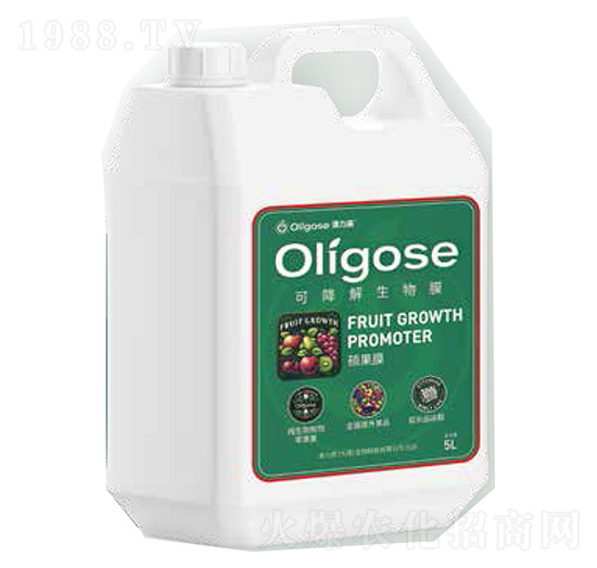 �ɽ�������Ĥ-�T��Ĥ-������