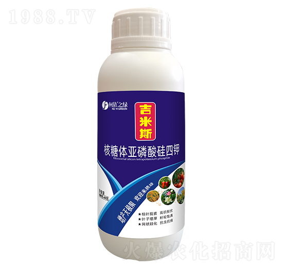 �����w����������-����˹-����֮�G