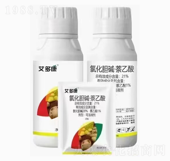 �Ȼ�đ�A��������-���࿵-��������