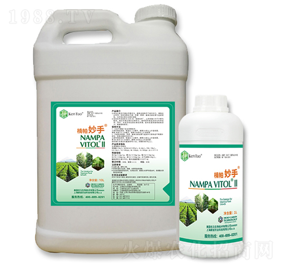 �������-����