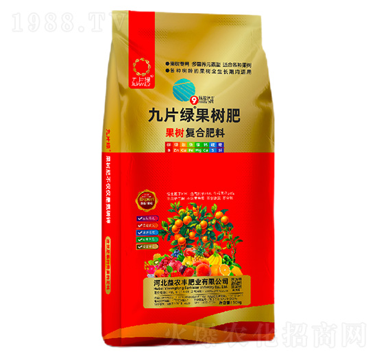 ���䌣�ÏͺϷ���-��Ƭ�G-���r�S�ʘI(y��)