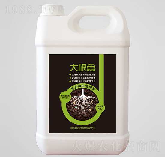 ����P�ͺ�΢�������-��������