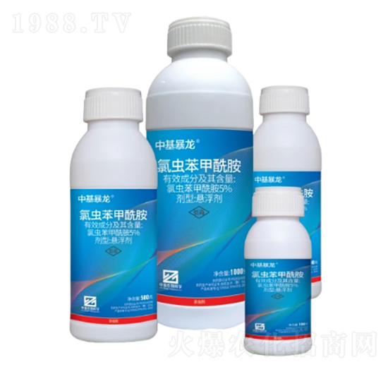 5%���x���������Ҹ�����SC��-�л�����-�л�����ƌW(xu��)