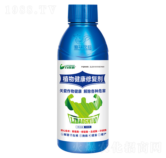 ֲ�｡���ޏ̈́�-�����T-���A�r�I(y��)