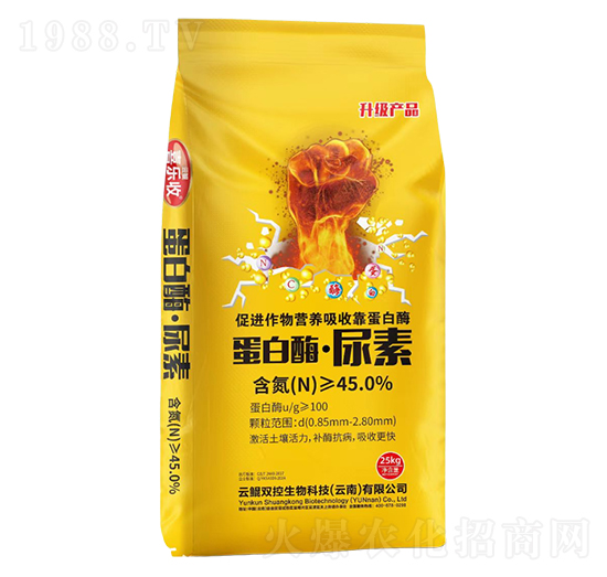 ����ø������-�t̫�(y��ng)