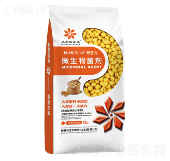 Դ����΢�������-���⻨