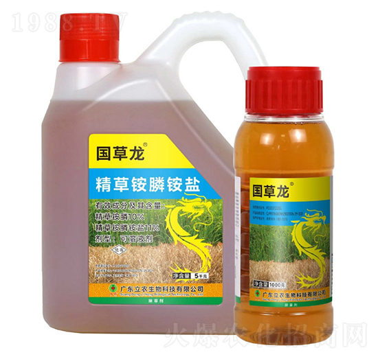 10%�����@�-������-�V�|���r(n��ng)