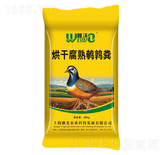 ��ɸ����Q���S�ЙC(j��)��-�Ź�