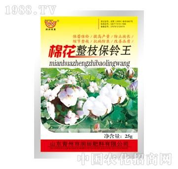 ��(r��n)��-�޻���֦���?f��)? />
                                </div>
                            </div>
                            
                            <style type=