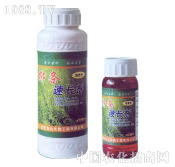 ��ɽ����-���l���L(zh��ng)����ƿ��