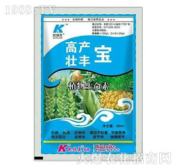 �߮a���S��-�P���