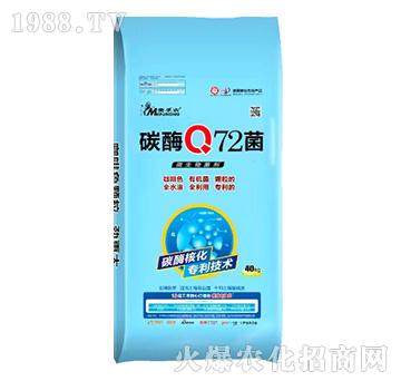 ̼øQ72��