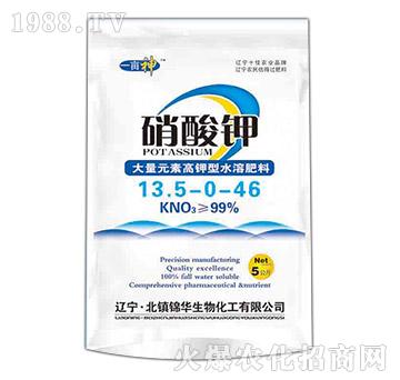 �����-һ����