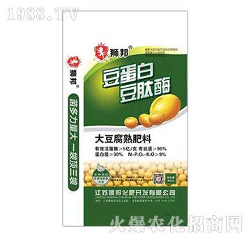 �󶹸������-�{��-���r(n��ng)�ʘI(y��)