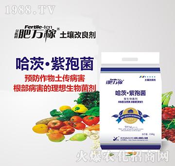 ΢�������-���ġ����߾�-���f(w��n)��-꿾�