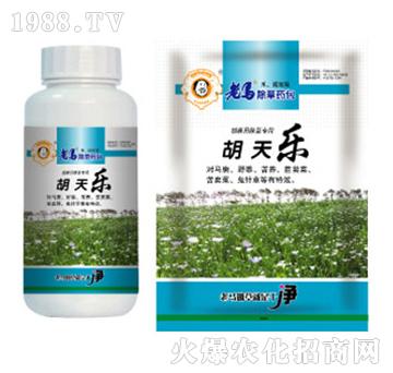 ���R����ˎ��-���옷-�����r�I(y��)