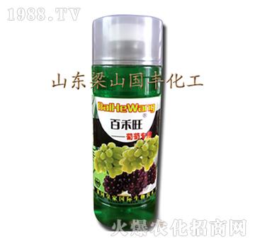 ���ь����~���-��ɽ��(gu��)�S