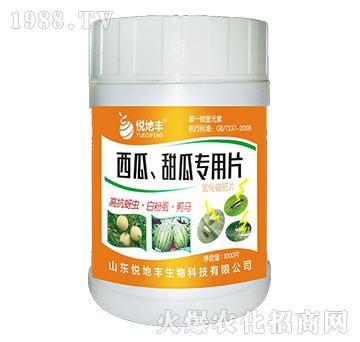 ��������ό���Ƭ��һ��һƬ��-�����S