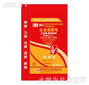 20kg���������S����