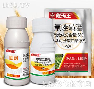 �묔���M��-�к����_(d��)