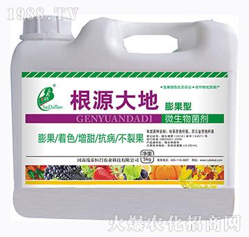 �����΢�������-��Դ���-��̩���