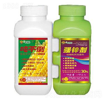 ������+���\��-���׌���AB�M�Ͽ����I�B(y��ng)-�r(n��ng)�̘�