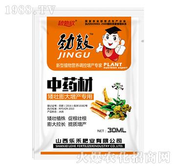 �Ź���ˎ�Č���-����