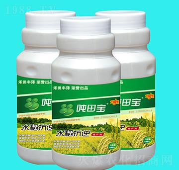 ˮ�����懍�-�����S��