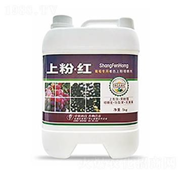 �Ϸۡ��t-�����Ƽ�