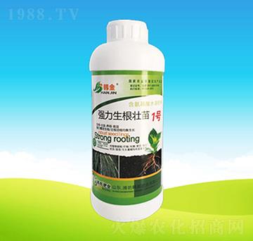 ������������1̖-�n��ʘI(y��)