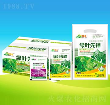 �G�~���h+ֲ�����������-�n��ʘI(y��)