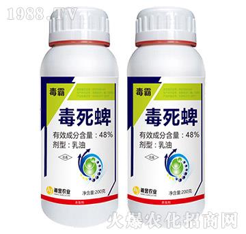 48%������-����-���