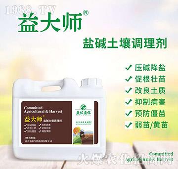 �}�A�����{(di��o)�턩-���-��������