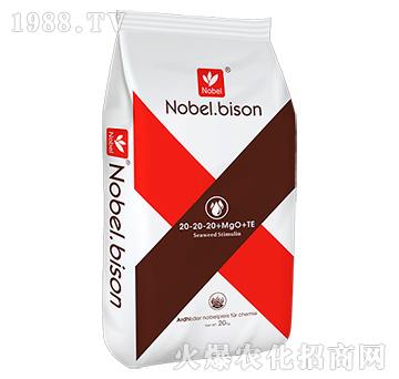 ƽ����ˮ���Է���20-20-20+Mgo+TE��20Kg��-�Zؐ��
