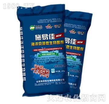 ����ؐ��΢�������-����������