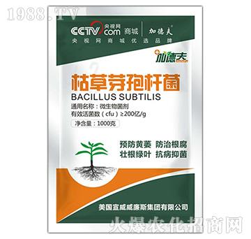 �ݲ�ѿ�ߗU��-��ɭ��