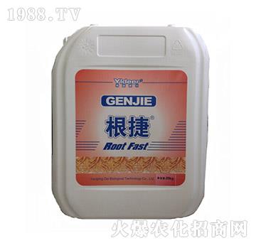 ����-� �����