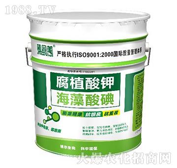 ��ֲ���-�������-� �����