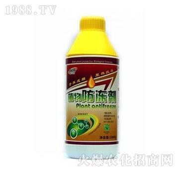 ֲ�������-��?t��ng)����? />
                                </div>
                            </div>
                            
                            <style type=