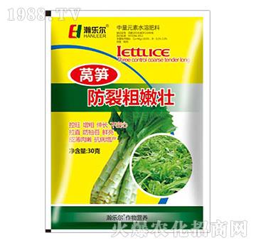 �n�S���Ѵ��ۉ�-嫘�(l��)��