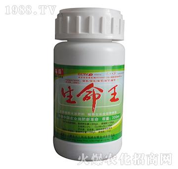 300ml����ֲ��ˮ�ܷ���-������-�˱�-���S��
