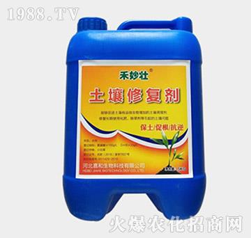 �����ޏ̈́�-�����-�W��ֲ��