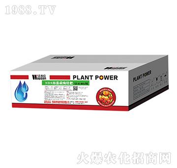 NDS����̼ø�ط�12-4-44+TE-������